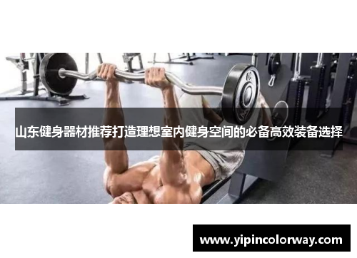 山东健身器材推荐打造理想室内健身空间的必备高效装备选择