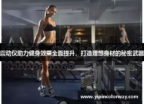 震动仪助力健身效果全面提升，打造理想身材的秘密武器