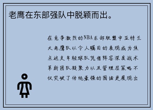 老鹰在东部强队中脱颖而出。