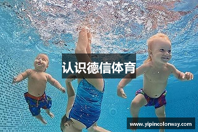 认识德信体育